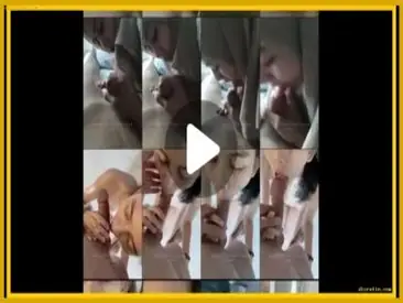 Cewek Jilbab Temen Kampus Yang Jadi Budak Seksku
